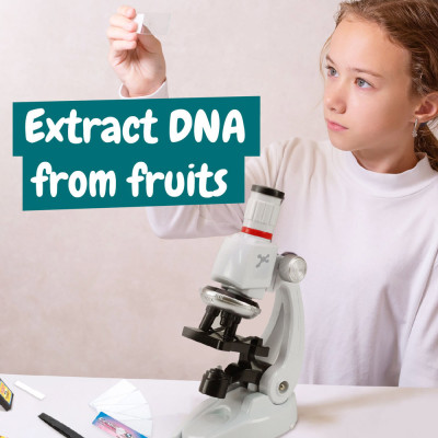 MICROSCOPE. Educational game for children